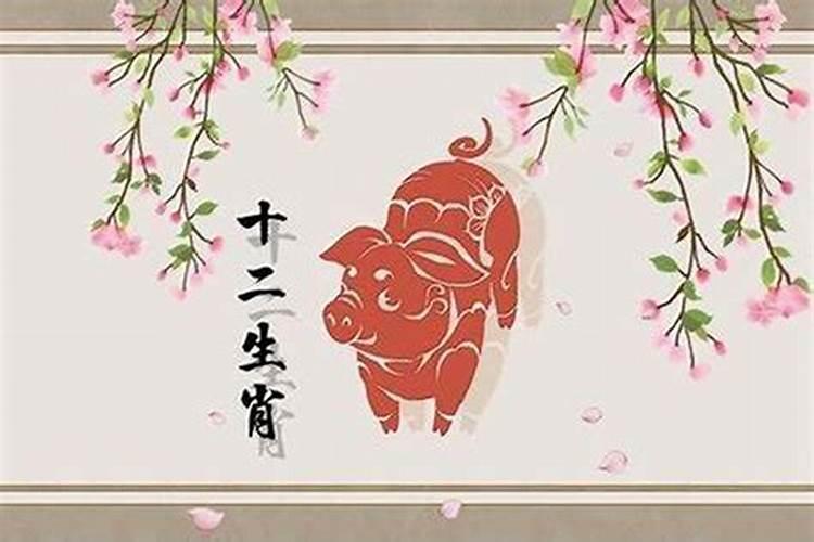 属猪16日生日命运怎么样