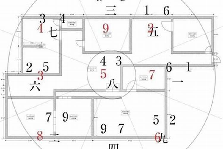 父亲属鸡母亲属狗孩子属虎