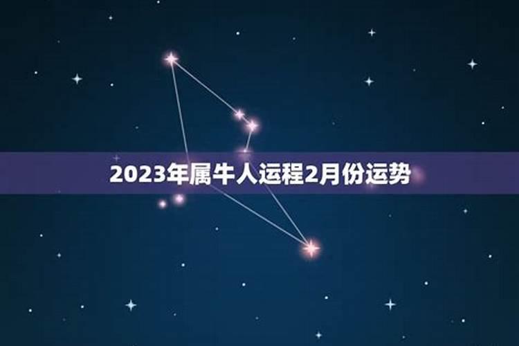 属牛人12月运势