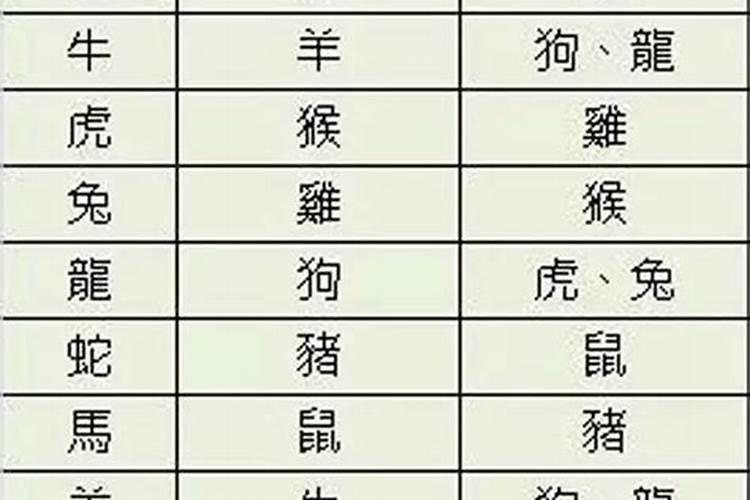 2023年兔年犯太岁生肖怎么化解