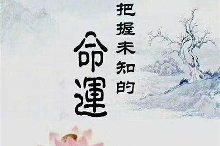 八字看感情复合会怎么样