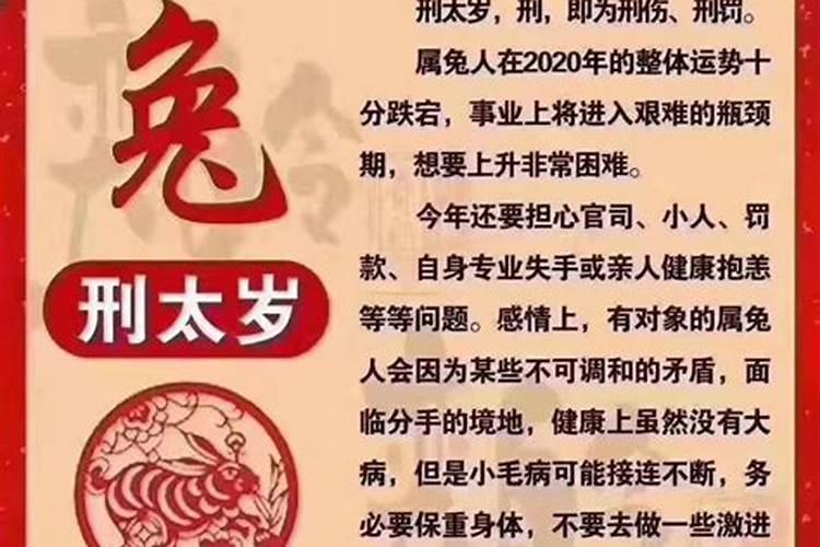 属马2020年犯太岁严重吗