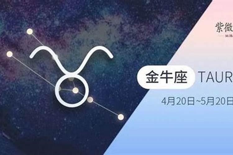 属虎的今年适合戴什么