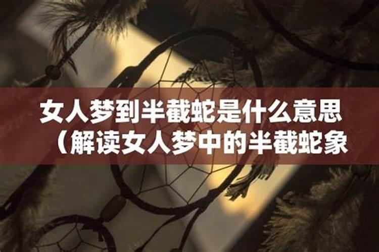 女人梦见蛇是什么预兆有何寓意