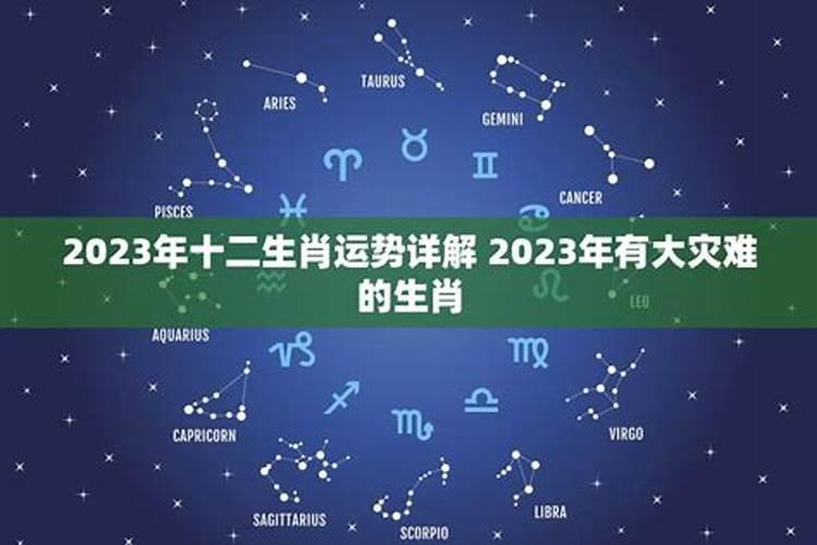 癸酉在2023年的整体运势