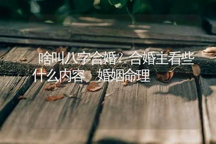 算命感情婚姻都看些什么