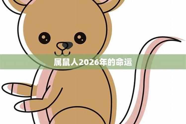 生肖鼠2026年运势