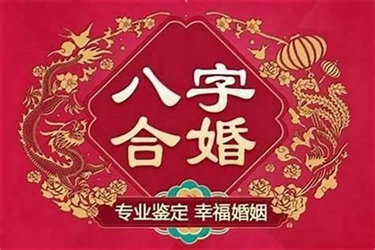 龙虎大婚合不合