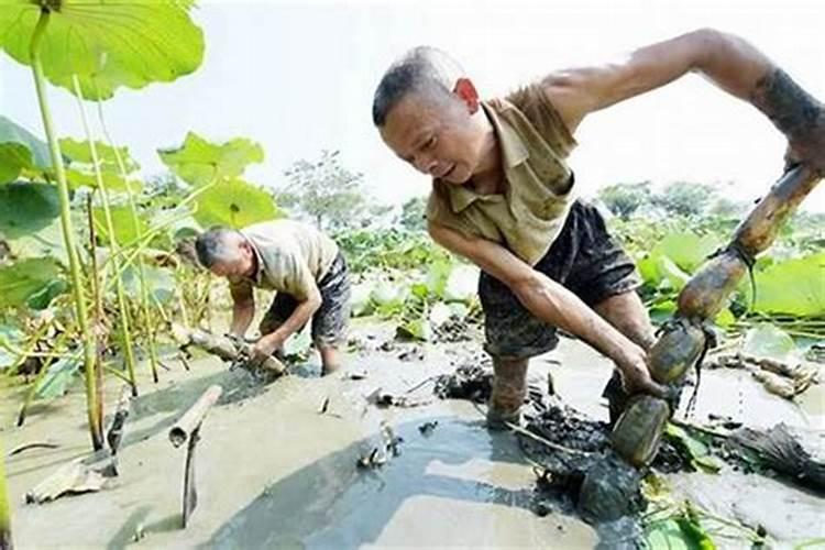 紫微斗数流年财富忌入宫位