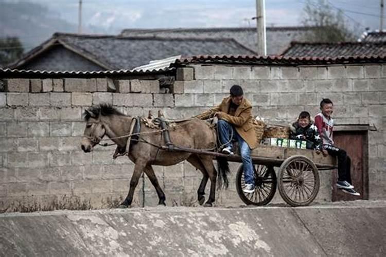 梦见别人赶着马车是什么意思