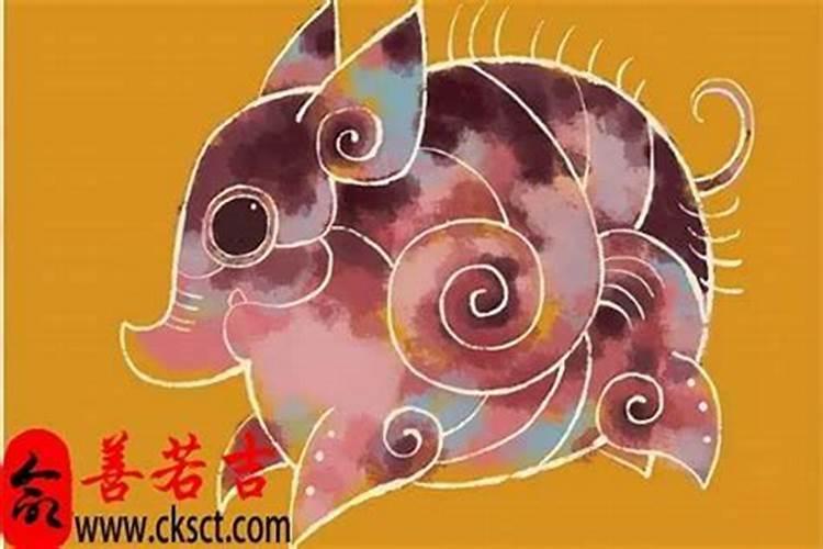 属猪人阳历6月运势如何