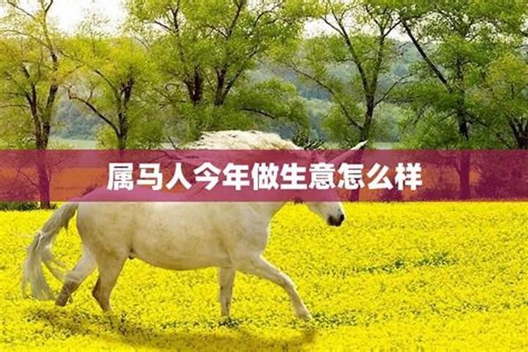 属马男今年做什么能赚钱