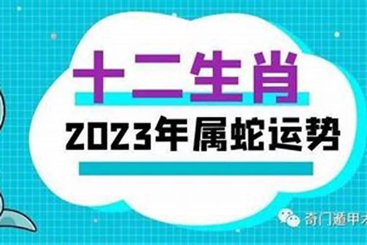 猪年蛇运势2023年运程如何