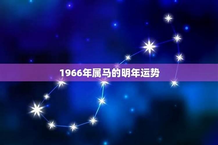 属马1966出生今年运势如和