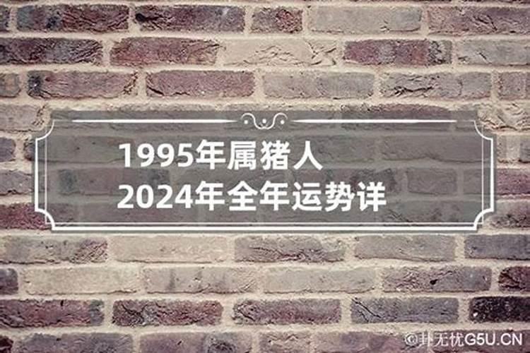 2024年属猪男1995全年运势