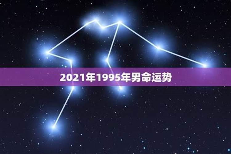 1995属猪人2021全年运势