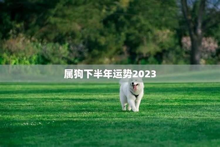 2028属狗下半年运势