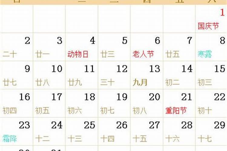 属狗进入2023年运势及运程如何