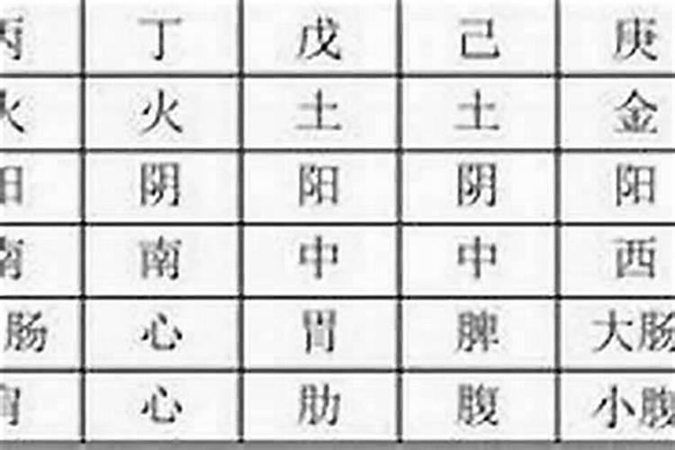 八字要学多久才能学会算卦