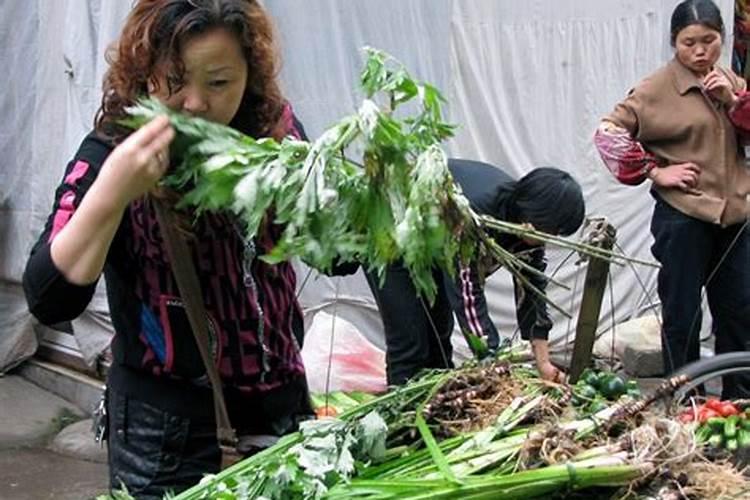 端午节的艾草有什么用,怎么食用