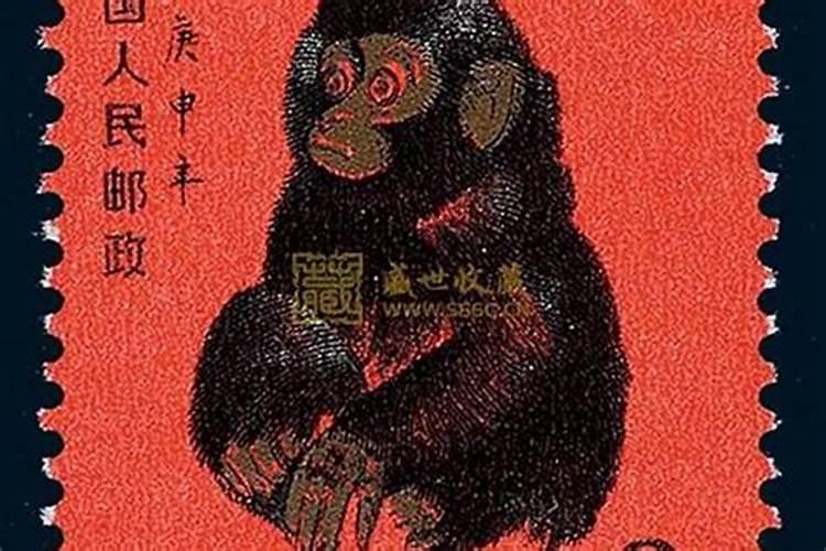 1980年属猴9月生人命好不好