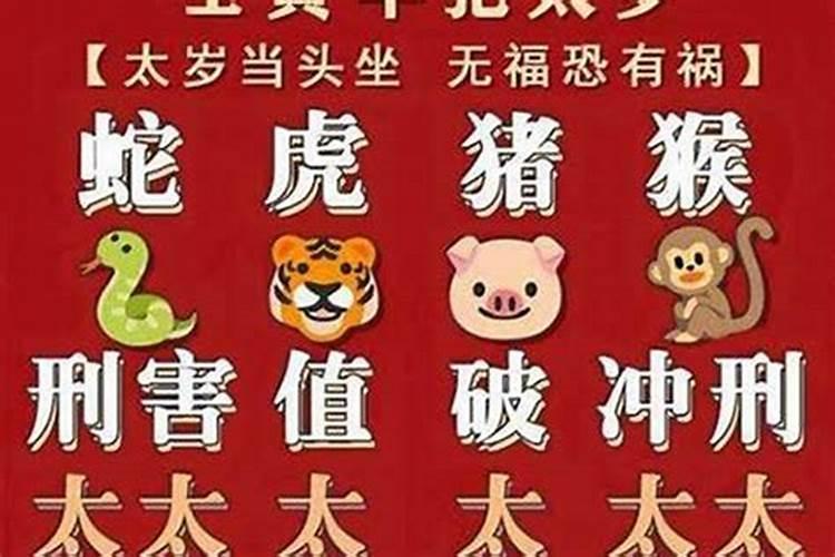 属兔最旺什么方位