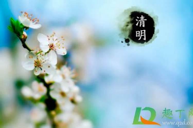 清明节烧纸烧多少