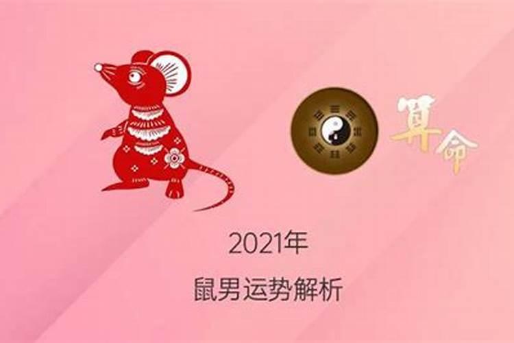 属鼠男今年运势2021年运势