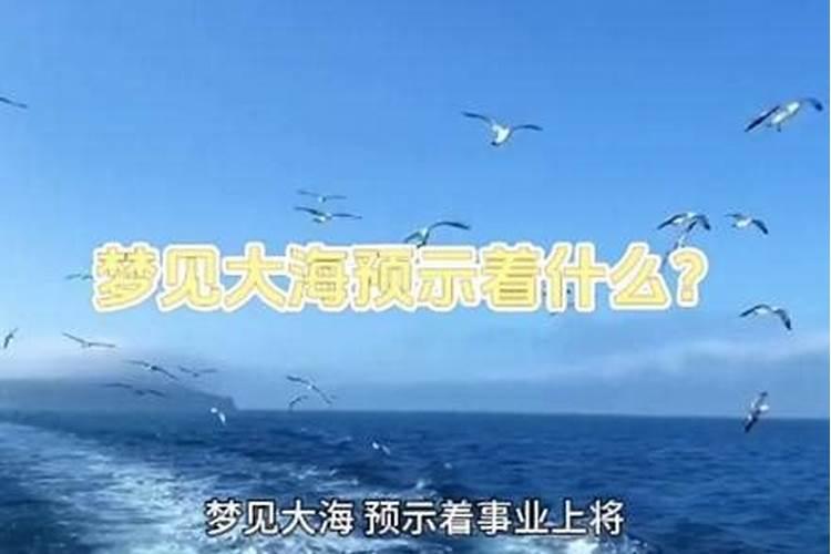 梦到海水和大船