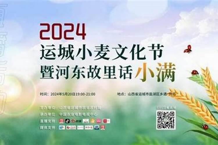 生肖兔的运势2024年运程