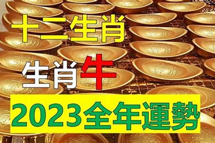 85牛人2023年运势及运程