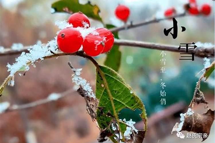 小雪是冬至吗为什么