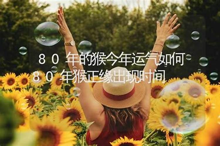 80年猴年今年运势