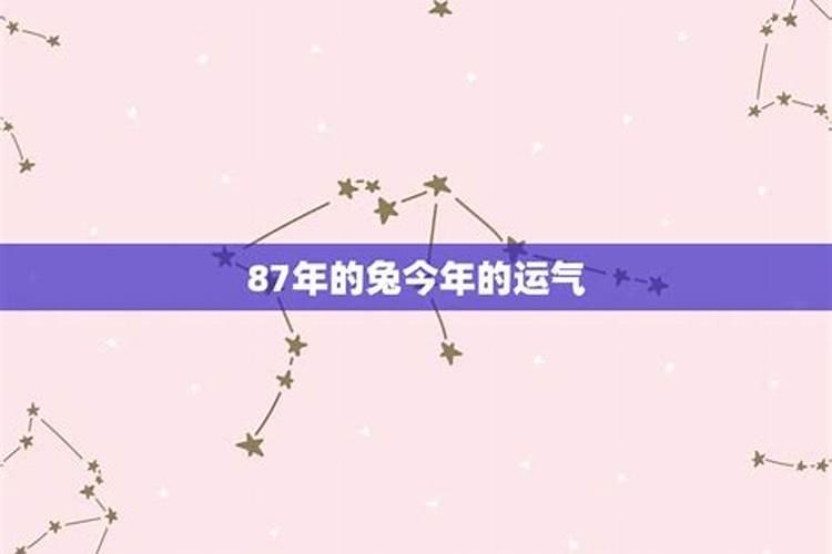 87年男兔今年运势