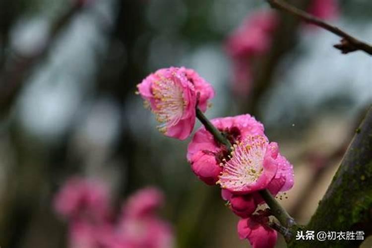 寒衣节如何祭祀做些什么事情