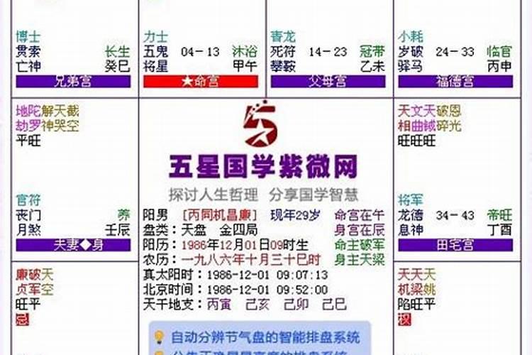 生辰八字带一头马是什么意思