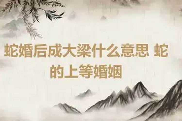 属蛇为什么婚后成大梁是什么意思