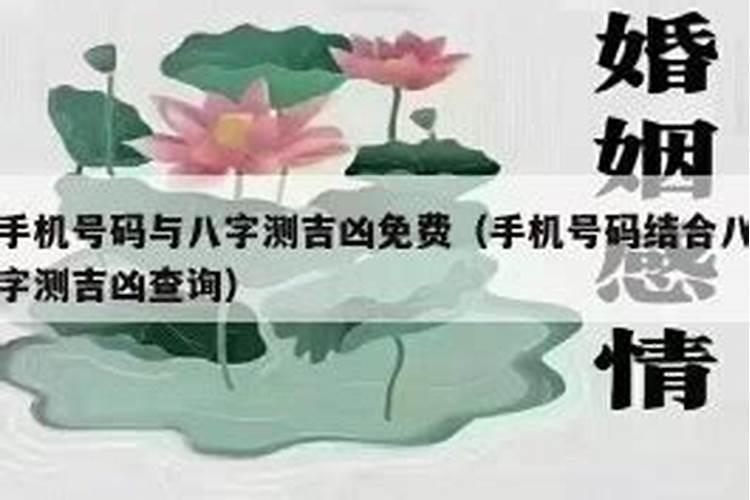 手机号码与八字不合