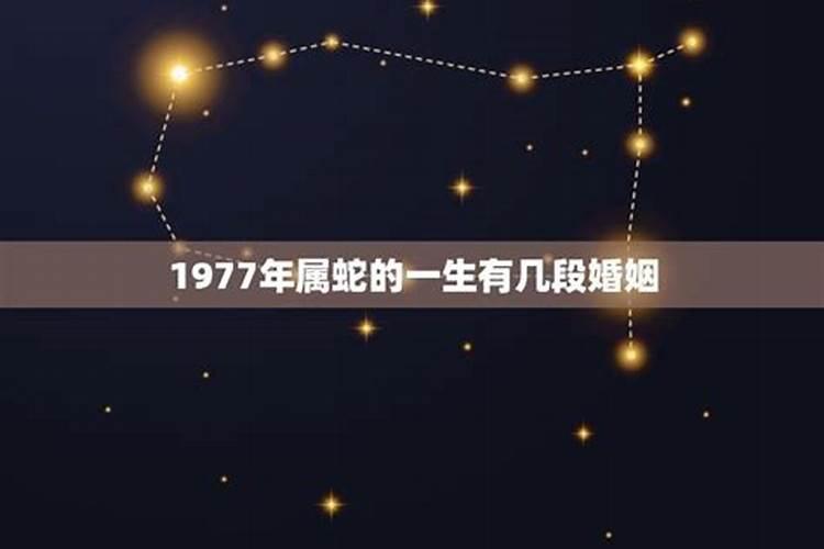 1977年属蛇女一生的运势