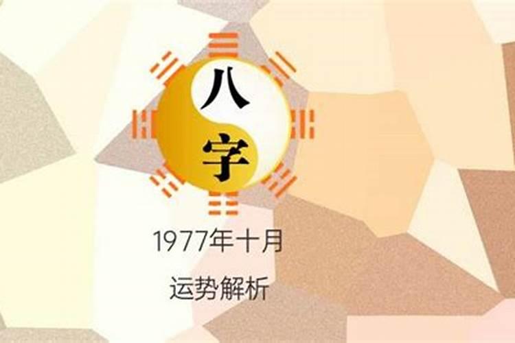 77年十月初一是什么命格