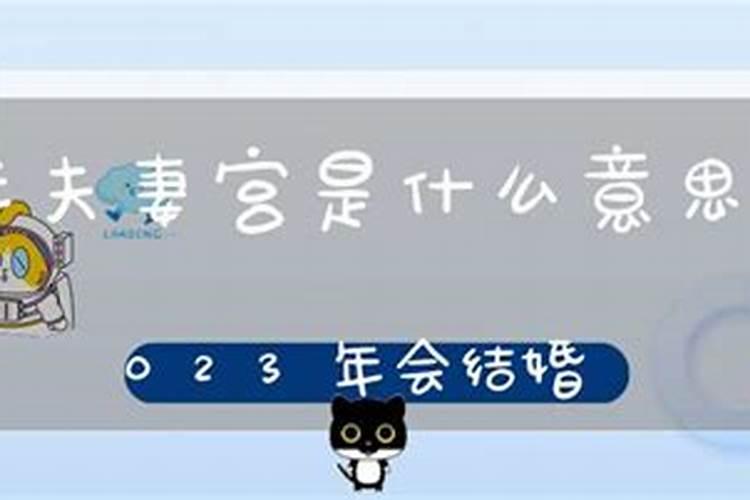 81年属鸡2023年6月份运势如何