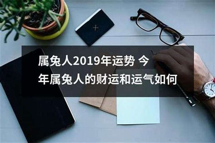 属兔人2019年运势运程每月运程