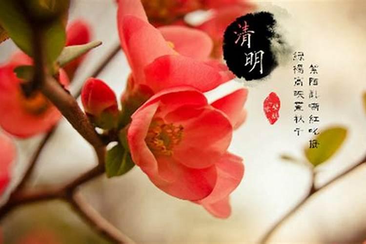 清明节农历哪一天