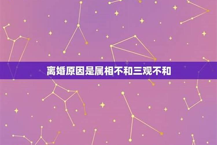 属相三观不合是什么意思