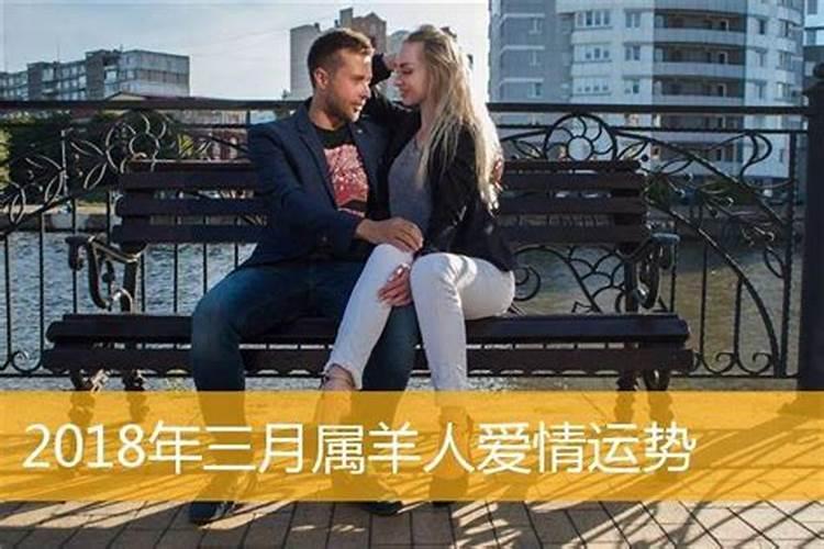 属羊的女感情运势如何