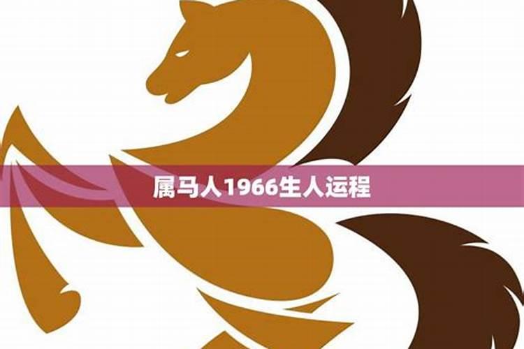 1966生肖马2023年运势