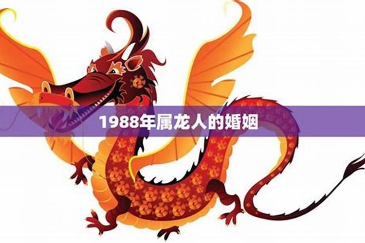 1988年属龙婚姻如何