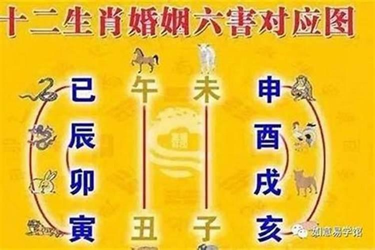 天亮了做梦准吗周公解梦