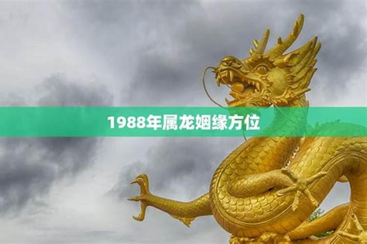 1988年属龙姻缘在哪年最旺盛？