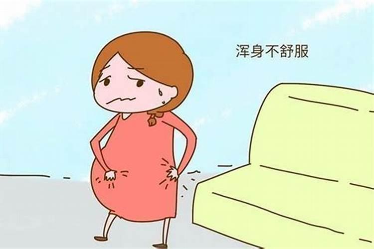 腊月二十怀孕生男还是女